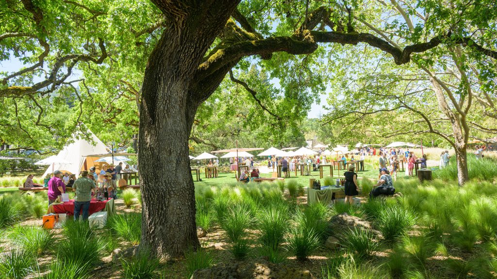 Taste of Yountville 2024 at Domaine Chandon Yountville Chamber of Commerce