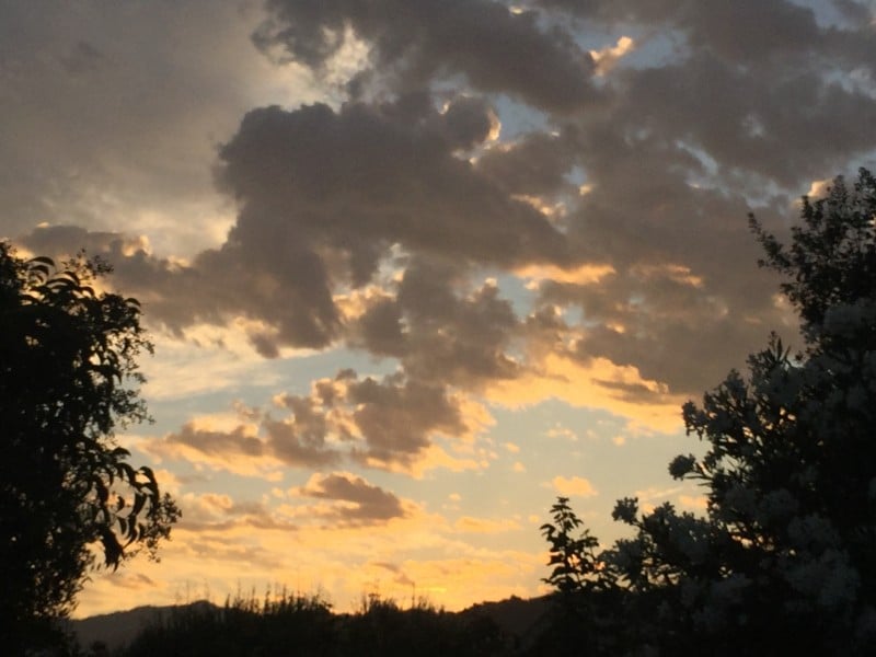 Yountville Sunrise by Lisa Adams Walter