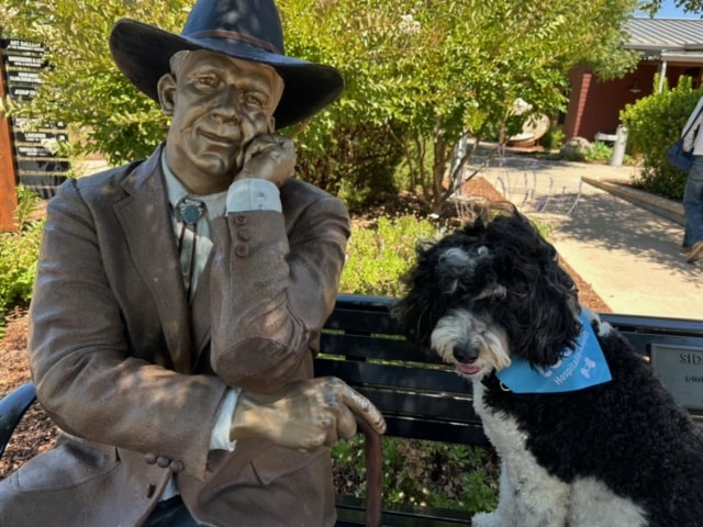 Hospitality Hound Cooper and The Sidewalk Judge. Wendy Fields photo