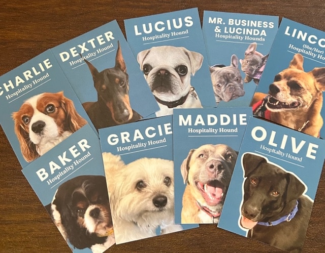 Hospitality Hounds trading cards. Jim McDonald photo